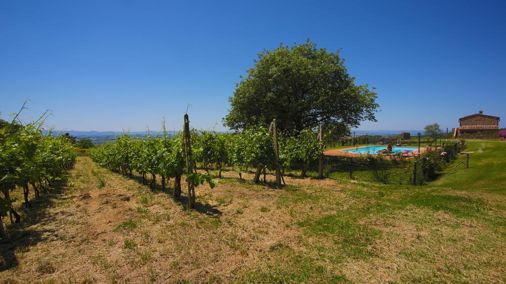 Tenuta Angelici Winery Casa Contea With Pool And Panoramic Pool Cortona Villa Terontola Ruang foto